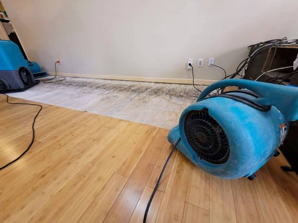 Professional Water Removal technician working in Clinton, IL